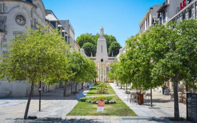Rallye découverte Verdun